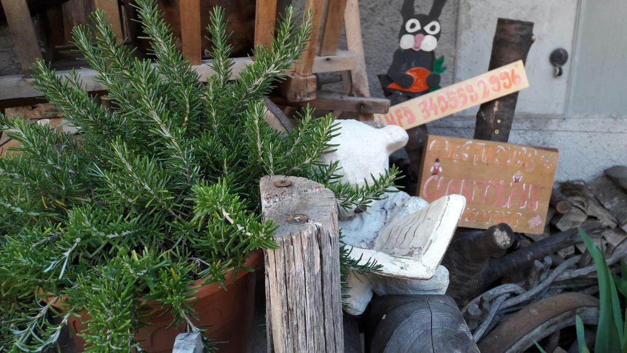 Cianbolpin Guesthouse Canazei Εξωτερικό φωτογραφία