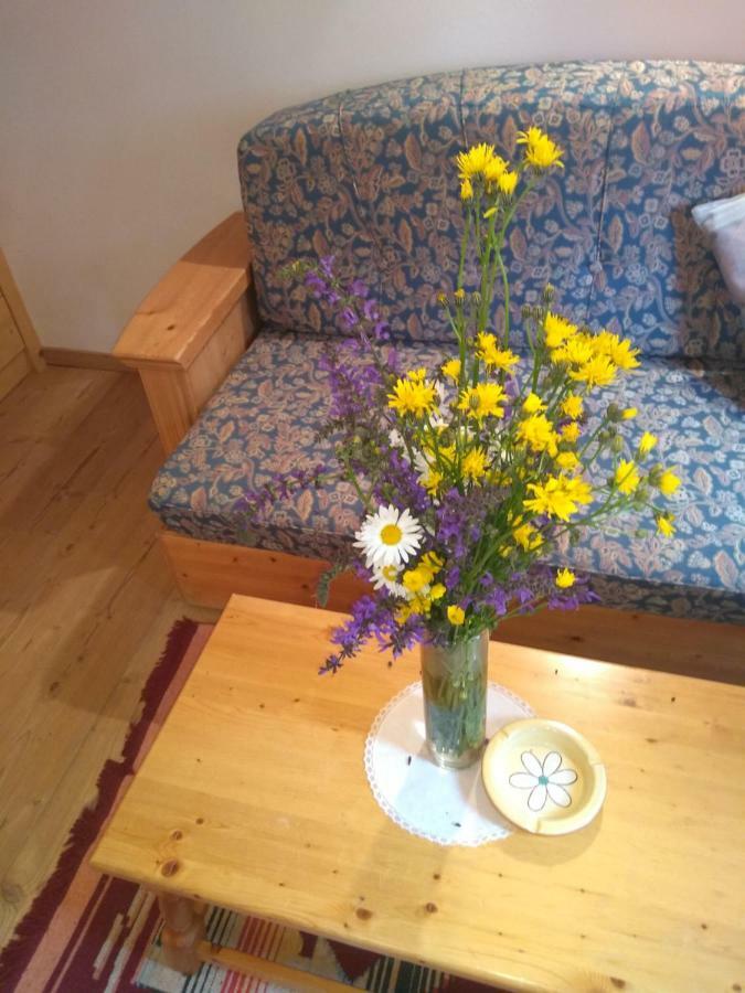Cianbolpin Guesthouse Canazei Εξωτερικό φωτογραφία