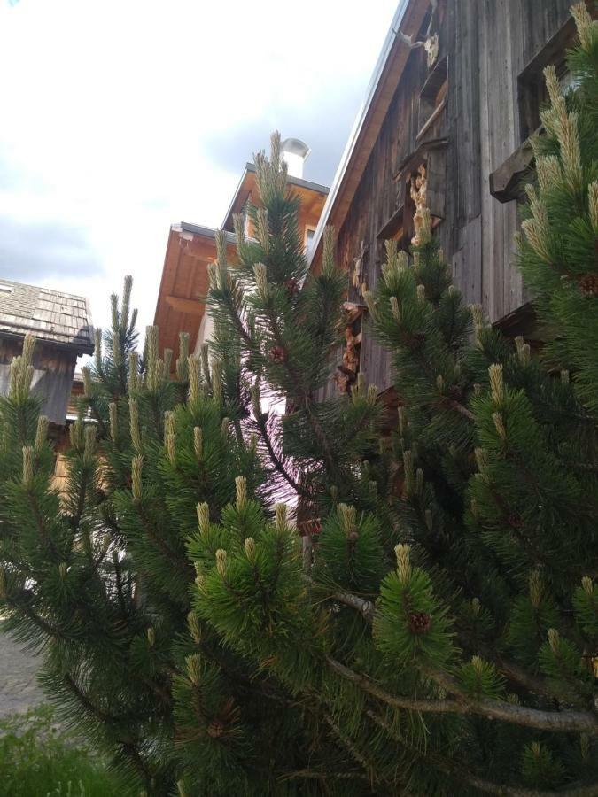 Cianbolpin Guesthouse Canazei Εξωτερικό φωτογραφία